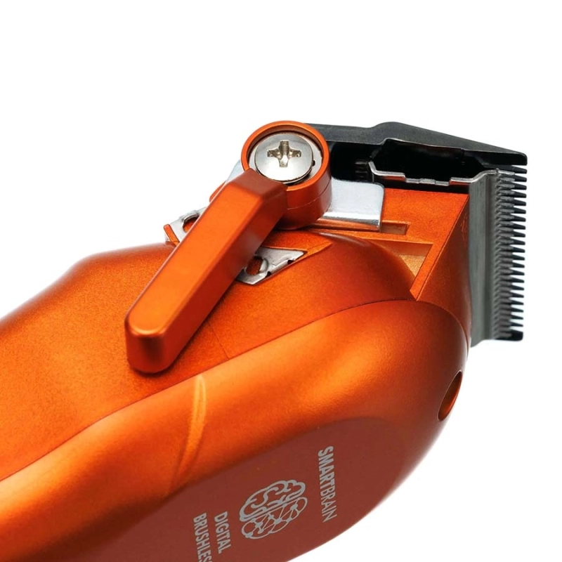 3969st hermes 4.jpg